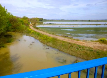 Castejón (Navarra) - Crecida del Ebro, 15 de abril de 2018 - 07