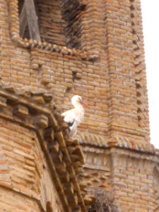 Caspe - Ex Convento de Santo Domingo 11
