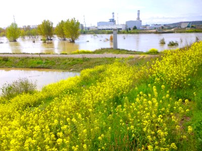 Castejón (Navarra) - Crecida del Ebro, 15 de abril de 2018 - 08