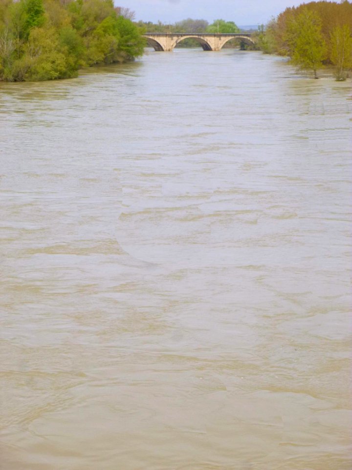 Castejón (Navarra) - Crecida del Ebro, 15 de abril de 2018 - 05