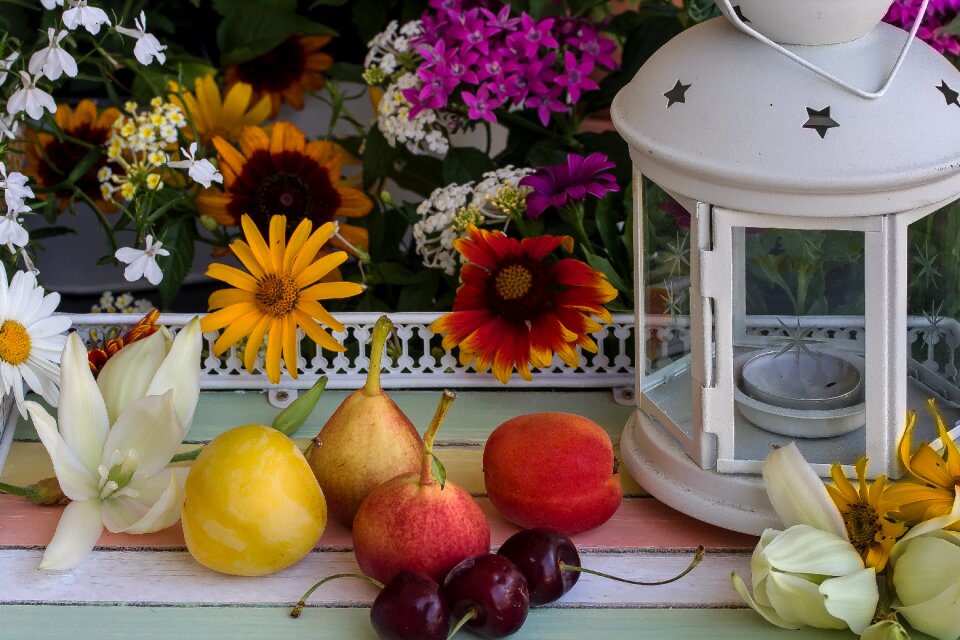 Pears cherries lamp