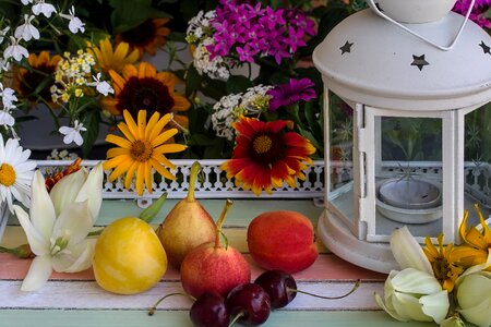 Pears cherries lamp