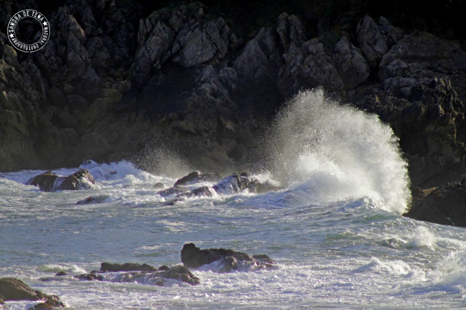 Cantabrian Sea (195515145)