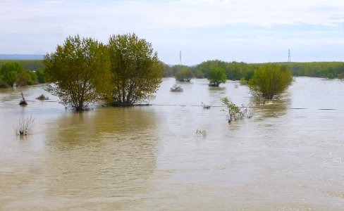 Castejón (Navarra) - Crecida del Ebro, 15 de abril de 2018 - 06