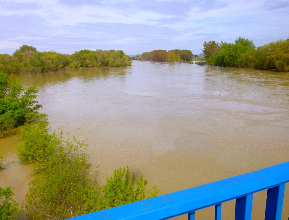 Castejón (Navarra) - Crecida del Ebro, 15 de abril de 2018 - 03