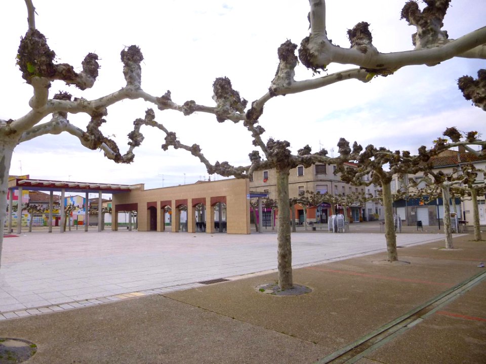 Castejón (Navarra) - Plaza de España 1