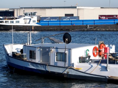 Cantharida (ship, 1960), ENI 06003790, Port of Antwerp pic4