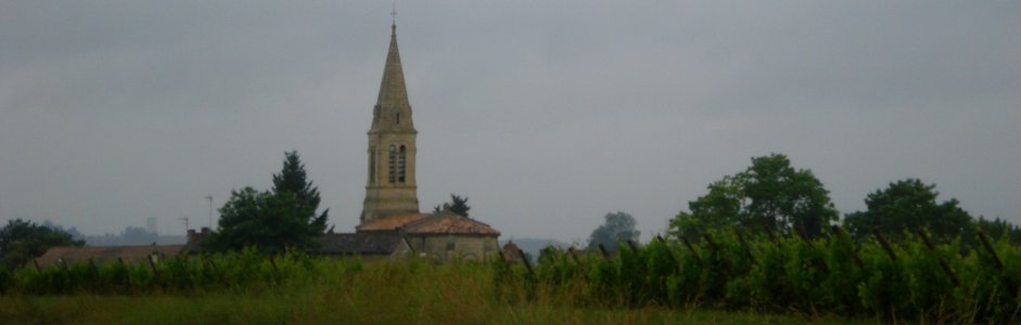 Caplong (Gironde, Fr), vue panoramique