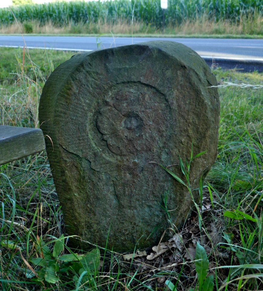 Cappel - Grenzstein Holzstraße, Triftweg - 1