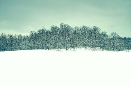 Snow finnish frost photo