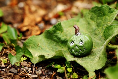 Tiny green leaf
