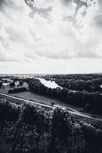 Vines landscape winegrowing