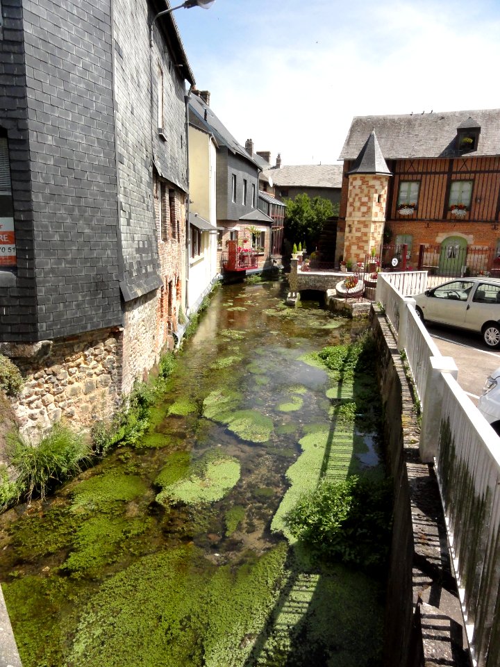 Cany-Barville (Seine-Mar.) bief de la Durdent à Cany