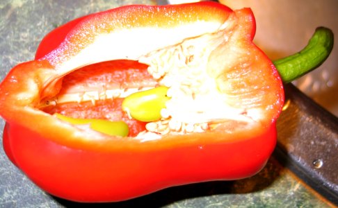 Capsicum (fruit) ▟