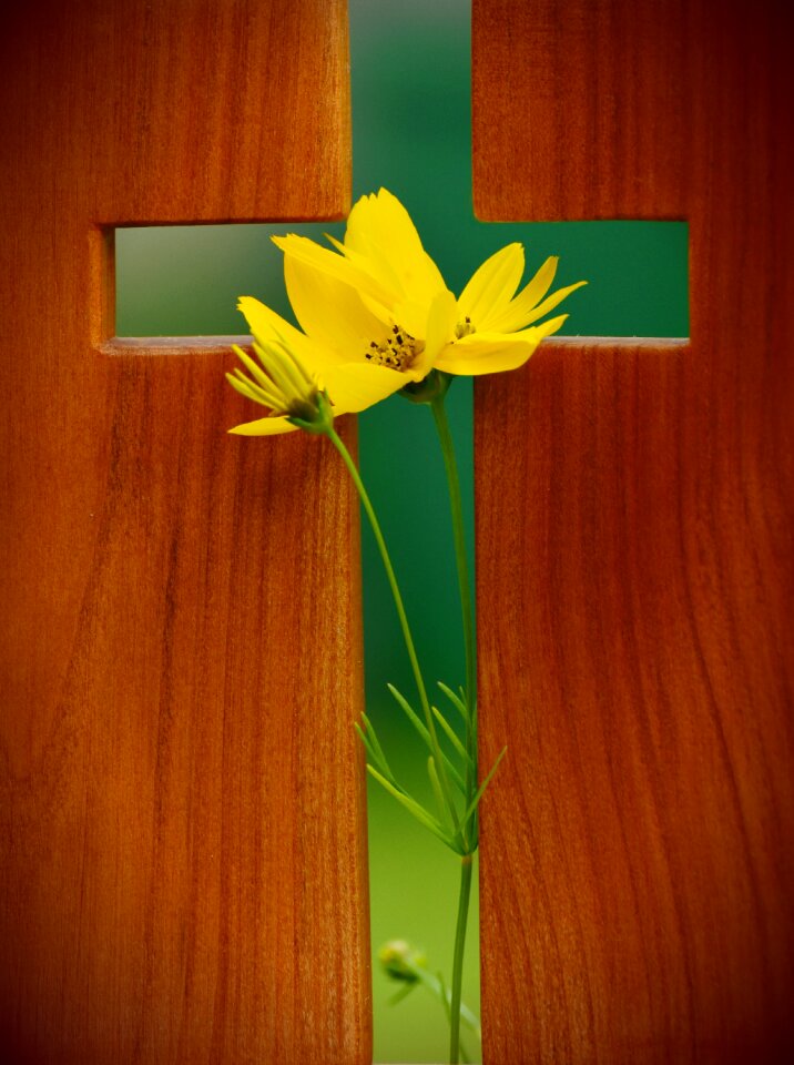 Faith christianity christ