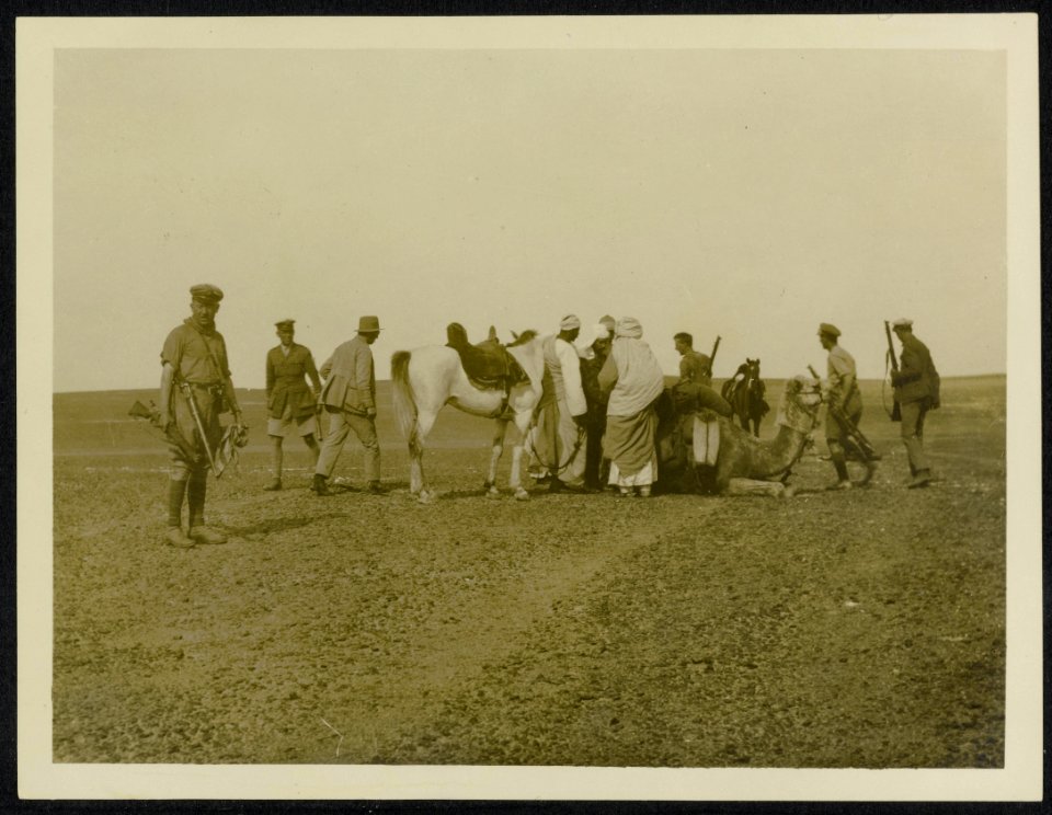 Capture of Senussi outpost near Baharia. The Turkish officer (marked with the cr, Bestanddeelnr 158-1535