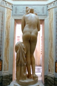 Capitoline Venus, MC 409, Roman, after original by Praxiteles, 4th century BC, view 3 - Musei Capitolini - Rome, Italy - DSC06015