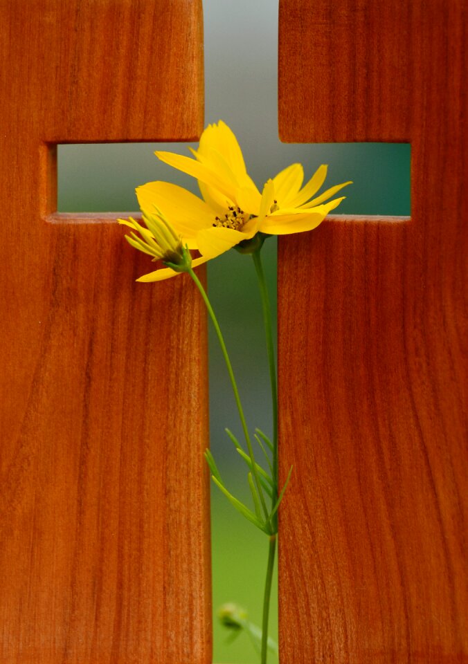 Faith christianity christ