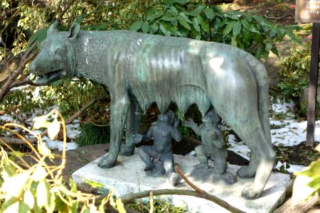 Capitoline Wolf - Hibiya Park - Tokyo, Japan - DSC09731