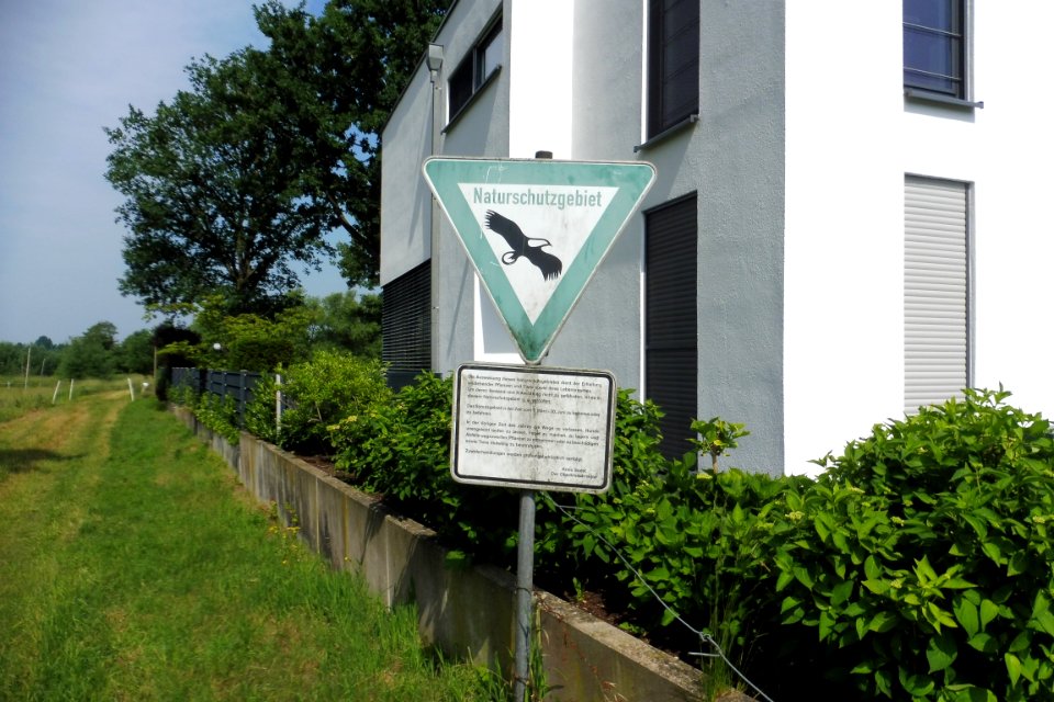 Cappel - NSG Lippeaue - 6