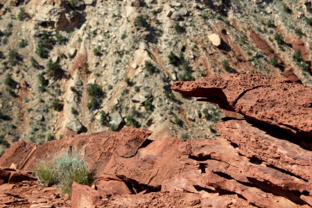 Capitol Reef Rock Overhang