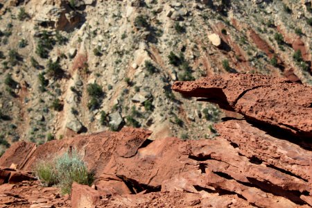 Capitol Reef Rock Overhang photo