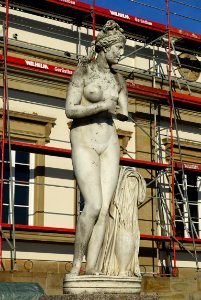 Capitoline Venus by Eduard Mayer - Schloss Rosenstein - Stuttgart, Germany - DSC01671