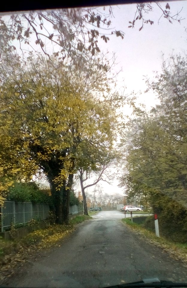 Canali(RE)7