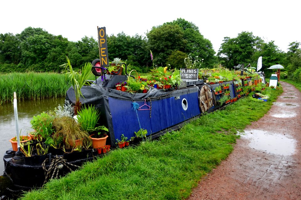 Canal Traders Floating Market - Great Haywood, Staffordshire, England - DSC09750