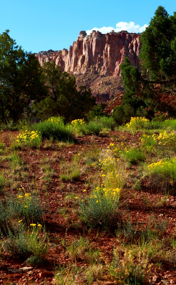 Capitol Reef National Park Public Domain