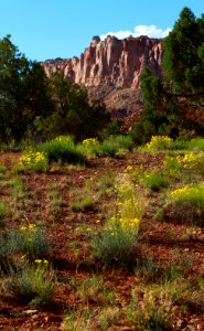 Capitol Reef National Park Public Domain photo