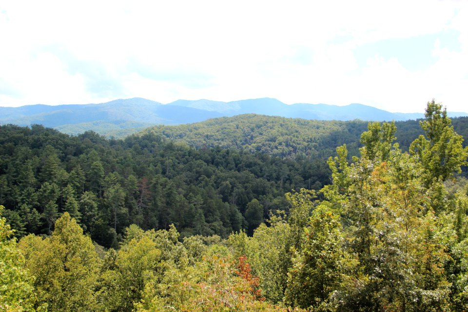 Caney Branch view, Cherohala Skyway, Sept 2019