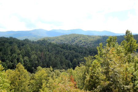 Caney Branch view, Cherohala Skyway, Sept 2019