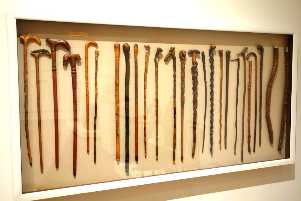 Canes, various woods - Huntington Museum of Art - DSC05476