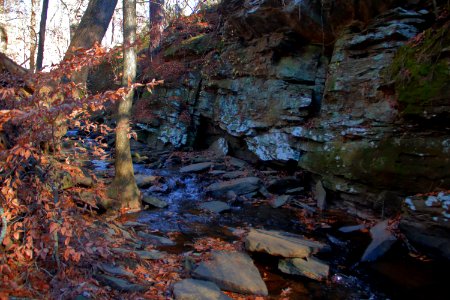 Caney Creek, Cobb County GA Dec 2019
