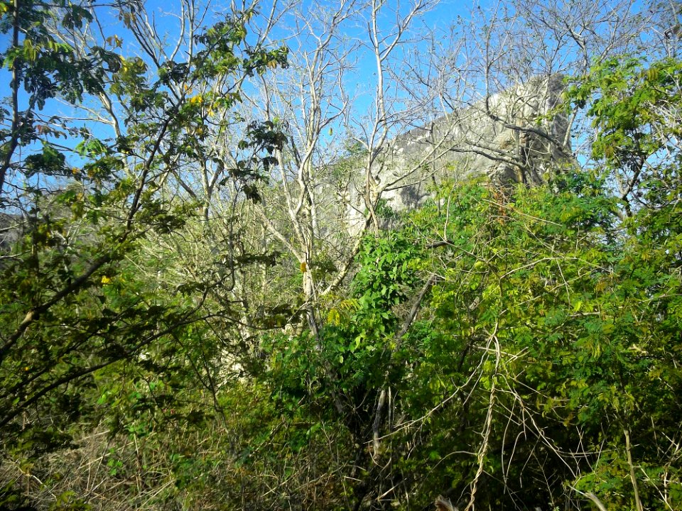 Cancabchén Casares, Yucatán (34)