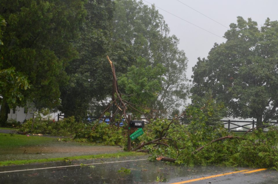 Canandaigua flood July 23, 2017 tree limb down