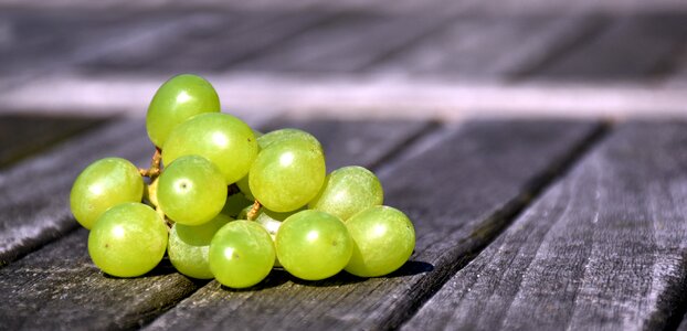 White grapes green grapes seedless photo