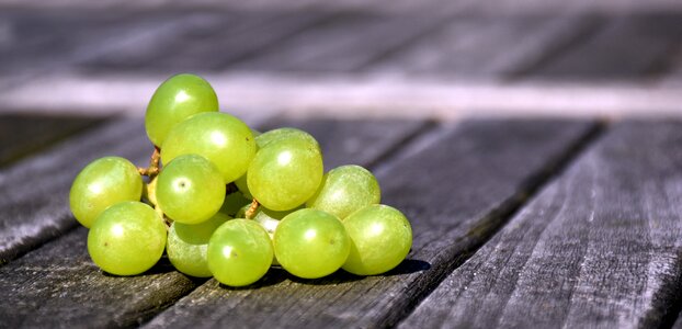 White grapes green grapes seedless