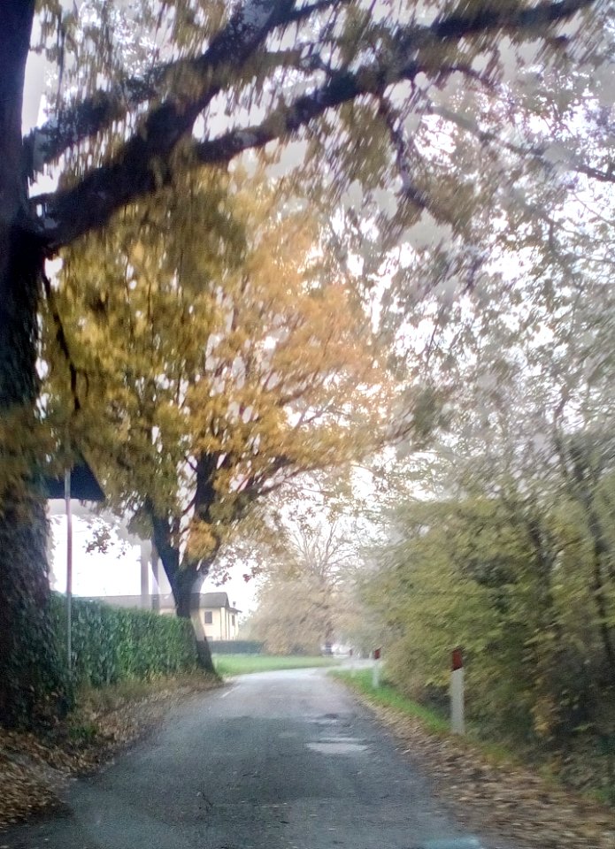 Canali(RE)6