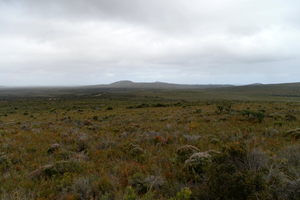 Cape Le Grand National Park, Western Australia 07