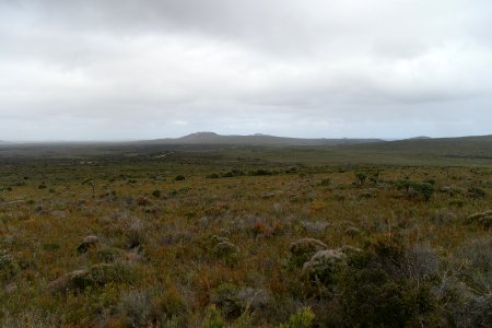 Cape Le Grand National Park, Western Australia 07