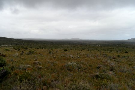 Cape Le Grand National Park, Western Australia 08