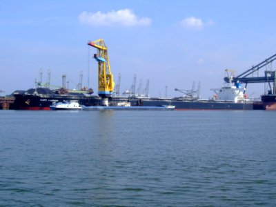 Cape Harrier IMO 9300594 p1, Mississippi harbour, Port of Rotterdam, Holland 03-May-2008