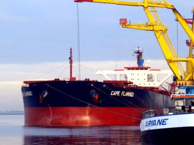 Cape Flamingo - IMO 9344289 - Callsign MKVN2 pict3