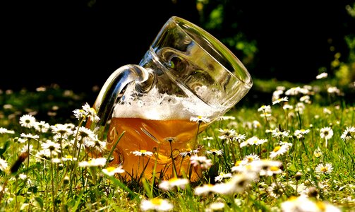 Bent funny beer garden