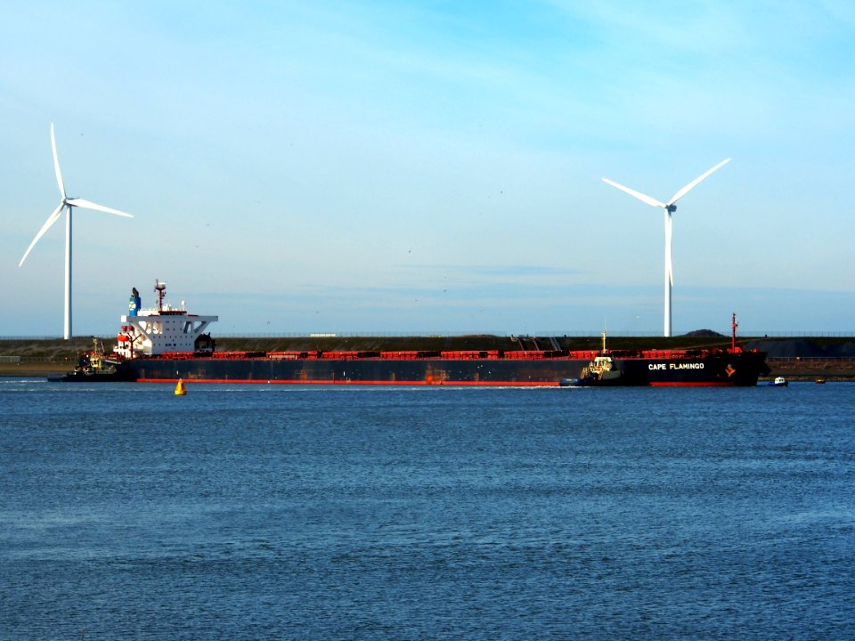 Cape Flamingo - IMO 9344289 - Callsign MKVN2 pict0