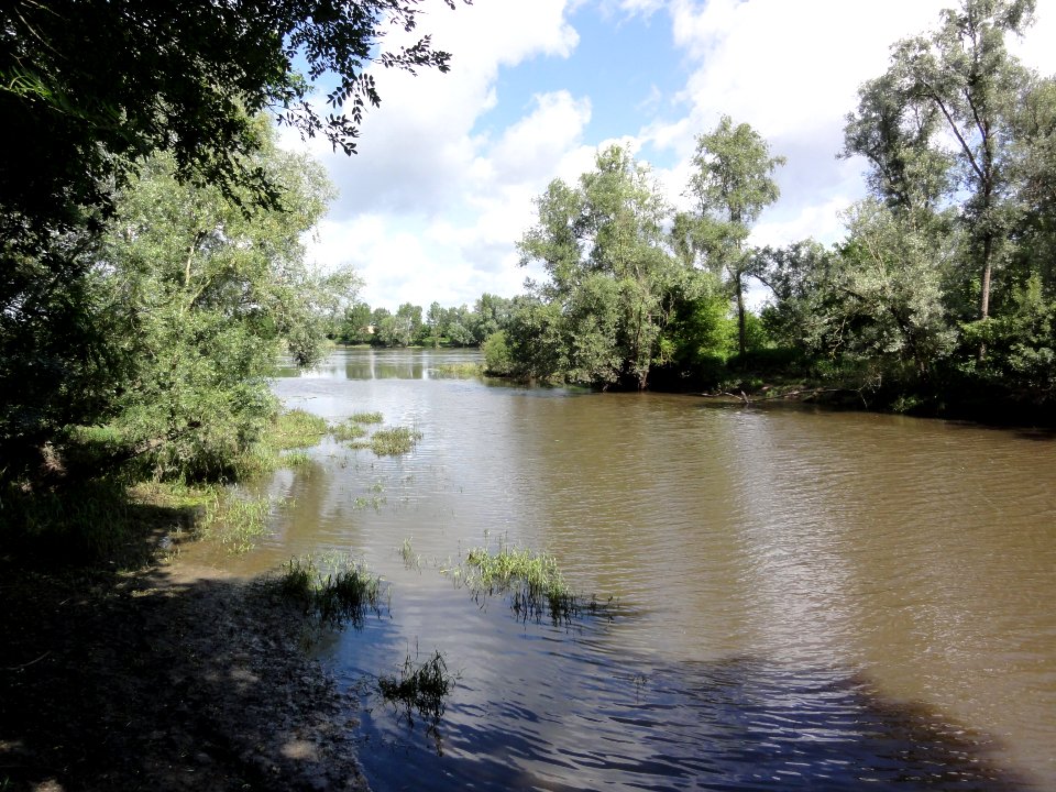 Candé-sur-Beuvron (Loir-et-Cher) confluence Beuvron-Loire