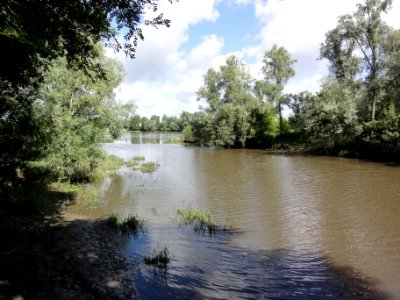 Candé-sur-Beuvron (Loir-et-Cher) confluence Beuvron-Loire