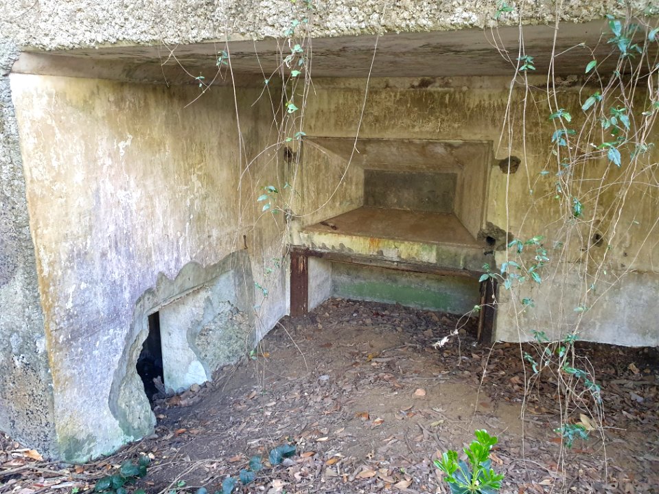 Cape Daibusa 6